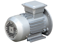 Drehstromasynchronmotor mit 0,55 kW, Schrägansicht Back