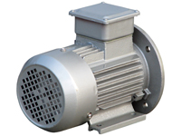 Drehstromasynchronmotor mit 0,37 kW, Schrägansicht Back