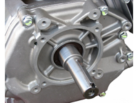 ROTEK EG4-0390-H, Wellendetail