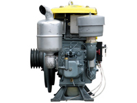 Rotek - wassergekühlter 1-Zylinder 4-Takt Dieselmotor mit 16,17 kW,  ED4W-1195-E (ZS1115G)
