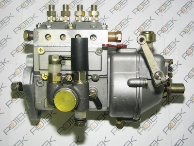 Einspritzpumpe für Huafengdongli 495D6