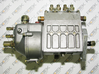 Einspritzpumpe für Huafengdongli 495D6