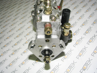 Einspritzpumpe für Huafengdongli 495D6