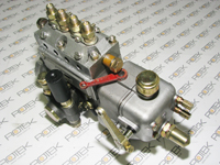 Einspritzpumpe für Huafengdongli 495D6
