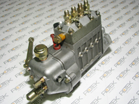 Einspritzpumpe für Huafengdongli 495D6