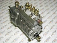 Einspritzpumpe für Huafengdongli 495D6