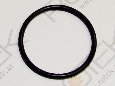 O-Ring Stösselstangendichtung